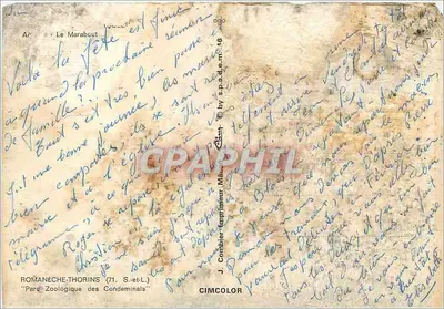 Oiseau — Marabou à l'écriture humoristique — éditeur CIMCOLOR — Verso