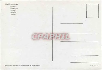 Zbieranie winogron — Cava Codorniu — Wydawca Casa Codorniu, numer seryjny D-L-Bn-12.814-85 — Rewers