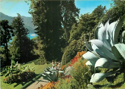 Jardim da Villa Carlotta — Lago de Como — Editor Clerici