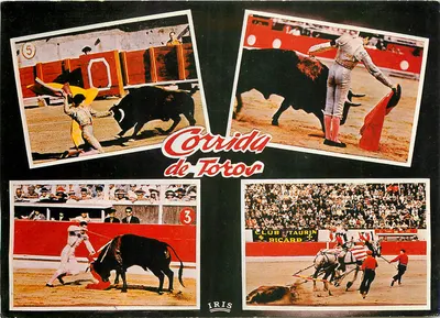Corrida de Touros — Série Iris — Editor IRIS
