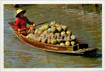 Vendedora de nozes de coco em um barco — Tailândia — PHORNTHIP PHATANA LTD.
