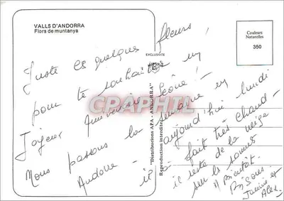 Andorra — Kwiaty dzikie na górze — Valls d'Andorre, nr 350 — Rewers