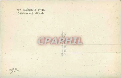 Delikatny kąt oazy — Scènes et Types, nr 609 — Wydawnictwo A. DUCOGNE, Algier — Rewers