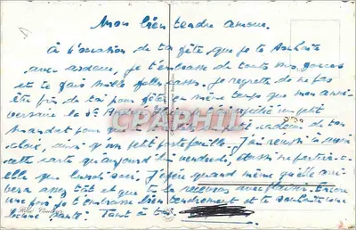 Tulipas coloridas — ilustração — editor desconhecido, número de série não visível — Verso
