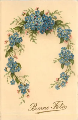 Arranjo de flores azuis — Boas Festas — Photochrom 80