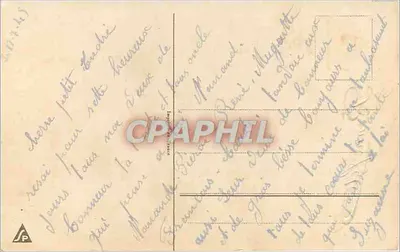 Arranjo de flores — Feliz aniversário — editor não visível — Verso