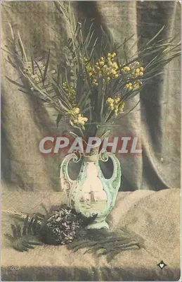 Arranjo de mimosa em um vaso decorativo — editor desconhecido, n° 129