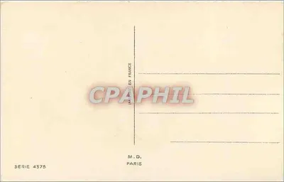 Camélia branca — em um cesto de vime — M.D. Paris, série 4375 — Verso