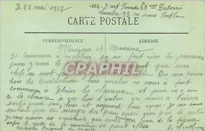Le Mans — Aleja w ogrodzie botanicznym — LL — Rewers