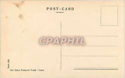 Estrada para a estação de Jerusalém — Vista panorâmica — The Cairo Postcard Trust, série 640 — Verso