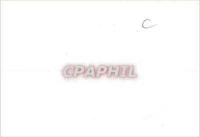 Clematis-Blüten — Originalmalerei — I. Adachi — Rückseite