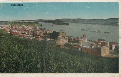 Rüdesheim — vista panorâmica do rio Reno e das vinhas — editor não identificado