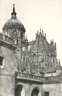 Salamanca — Velha catedral : torre do galo