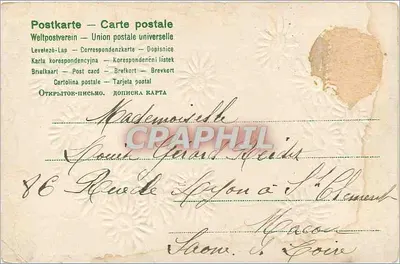 Kwiaty kamomili — Dekoracyjna kartka pocztowa — wydawca nie widoczny — Rewers
