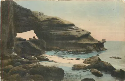 Alligator Head — La Jolla, Kalifornia — wydawca M. Rieder, Los Angeles, Kal.