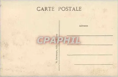 Amboise (Loir-et-Cher) — Zamek (Monument historyczny) i most nad Loirą — R. D. — Rewers