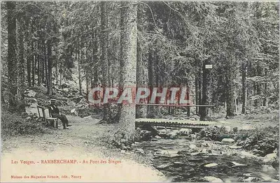 Les Vosges - RAMBERCHAMP - No Ponte dos Macacos - Maison des Magasins Réunis, editor, Nancy