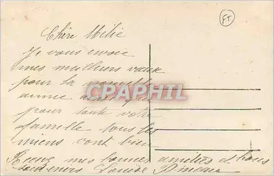 Bukiet chryzantem i fioletów — wydawca JK, nr 269 — Rewers