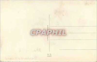 Mazzo di tulipani — Anniversario — M. D. Paris — Verso