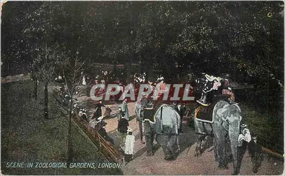 Cena nos Jardins Zoológicos, Londres — cartão postal colorido