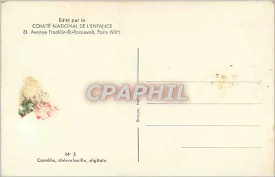 Buquê de flores — Camélia, chèvrefeuille, digitale — Editado pelo COMITÉ NATIONAL DE L'ENFANCE, Paris — Verso