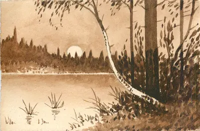 Lago e floresta — vista ao entardecer — JAP Paris, n°133