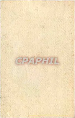Kwiat — róża w ciepłych odcieniach — Rewers