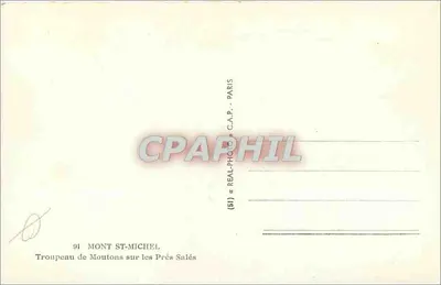 Mont-Saint-Michel — rebanho de ovelhas nos campos salinos — C.A.P. (51) — Verso