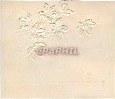 Flores e pássaro — cartão postal decorativo — editor não identificado — Verso