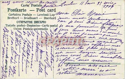 Heureuse Année — dekor z niebieskimi kwiatami — wydawca nieznany — Rewers