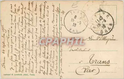खीरे की फसल के एक दृश्य — श्रृंखला 645 — लेहनर & लैंडरॉक, तुनीस — पीछे