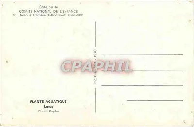 Lotus — Roślina wodna — Wydane przez COMITÉ NATIONAL DE L'ENFANCE, Wydawnictwo Blanchard, 1970 — Rewers
