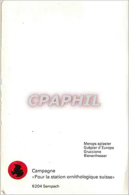 Três aves de rapina — ilustração de Robert Haiman — Kritchim, 31 de maio de 1938 — Verso