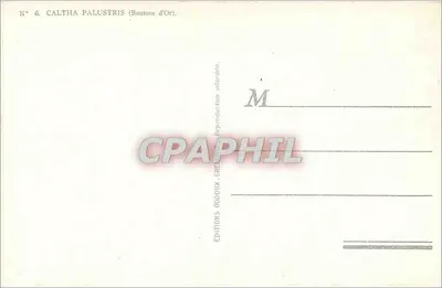 Caltha palustris (Kapustniki) — seria N° 6 — Wydawnictwo Oddoux, Grenoble — Rewers