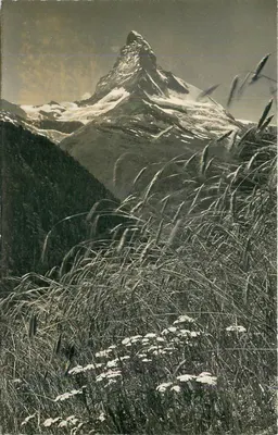 Matterhorn — vista desde o maior campo de cereais da Europa — Photo Otto Furter, Davos-Platz, n°273