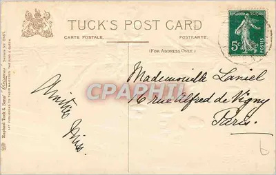 Zasnieżony drzewo choinkowe — ptaki — Tuck's Post Card, seria N° 8467 — Rewers