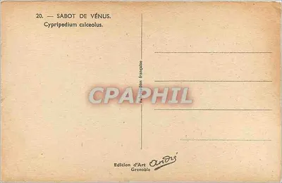 Schoen van Venus — Cypripédium calceolus — Editeurs d'Art Grenoble — Achterkant