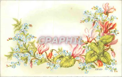 Flores — bordura de ciclamoras e myosotis — M.D. Paris, série n° 5505