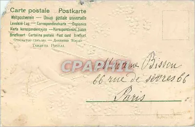 Cupidon w ozdobnym ramie — wydawca nieznany, numer seryjny nie widoczny — Rewers
