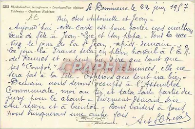 Fiori alpini — Rhododendron ferrugineum, Edelweiss, Gentiana kochiana — editore non visibile, n° 2362 — Verso