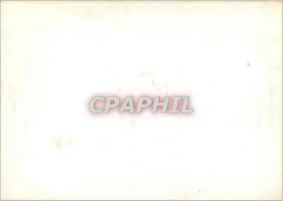 Widok wnętrza sklepu — Nène — Rewers