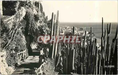 Jardim Exótico de Mônaco — Vista da Costa — Editor: La Cigogne, n° 1A