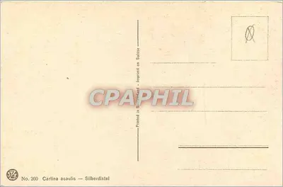 Duas flores de Carlina acaulis — Silberdistel — Impresso na Suíça, n° 260 — Verso