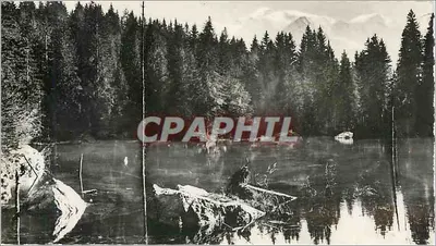 O Lago Verde — Passy - Alta Saboia — Nas proximidades de PRAZ-COUTANT