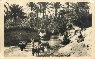 Bilhete postal antigo Um Oued na Oasis