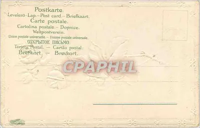 Rosas — ilustração delicada — n° 7686 — Verso