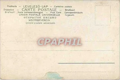 Róża i błękitne mydlice — ilustracja botaniczna — Union Postale Universelle — Rewers
