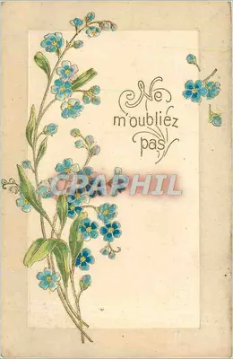 Flores azuis — Não me esqueça — editor não visível