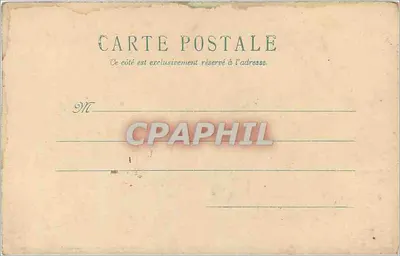 Flores brancas — buquê com vagens — carta postal — Verso