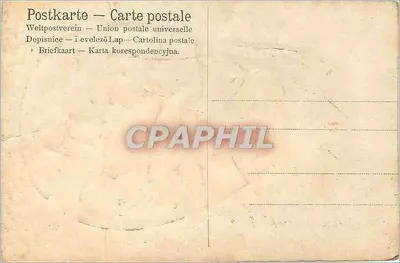 Flores rosas — Aniversário — Carta postal universal — Verso